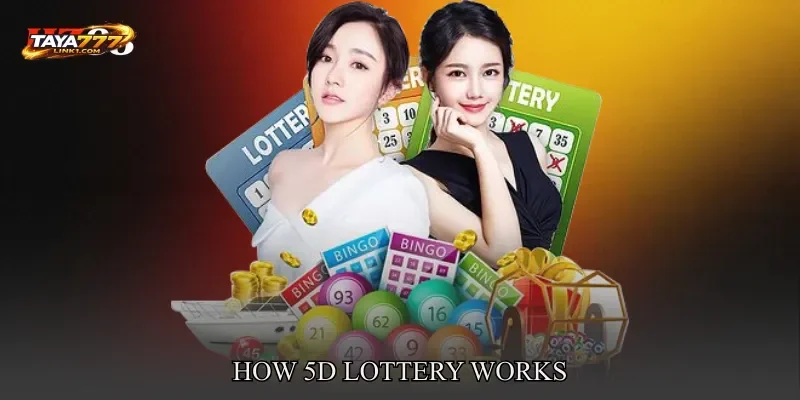 How 5D Lottery Works