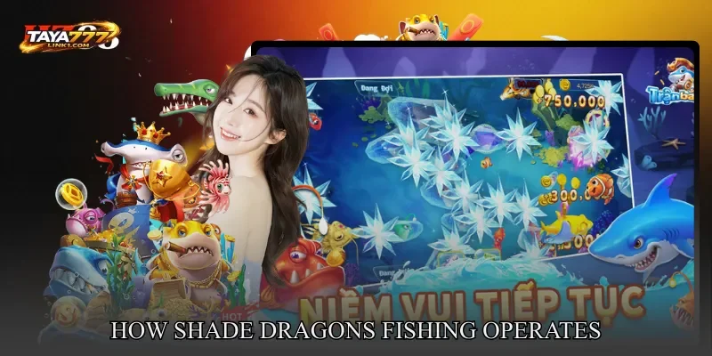 How Shade Dragons Fishing Operates