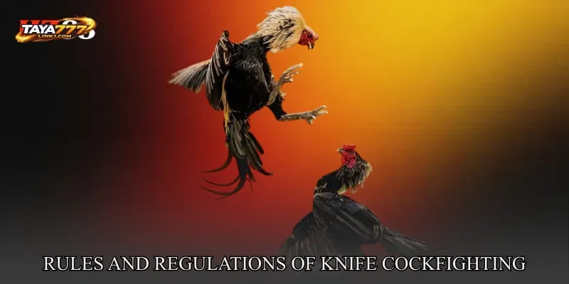 Rules and Regulations of Knife Cockfighting