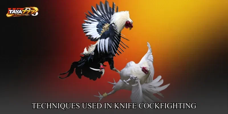 Techniques Used In Knife Cockfighting