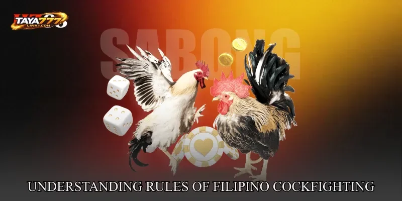 Understanding Rules Of Filipino Cockfighting