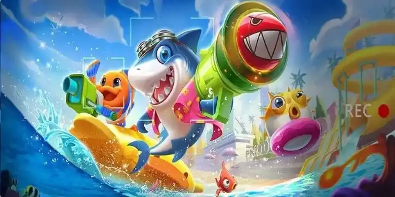 ok8 pesca